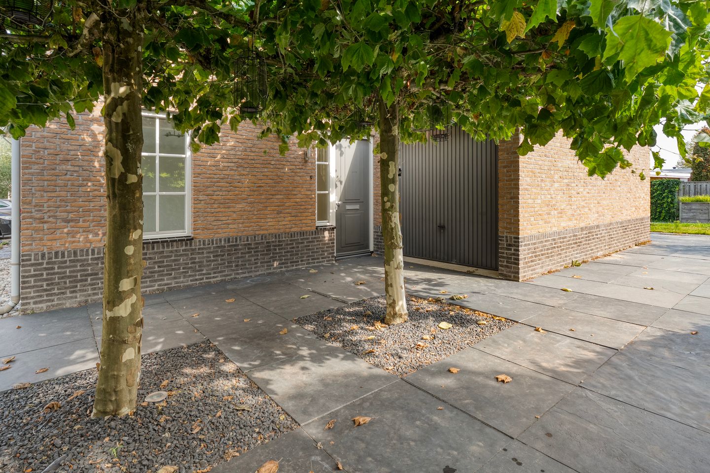 Foto 35 van Lisdodde 26