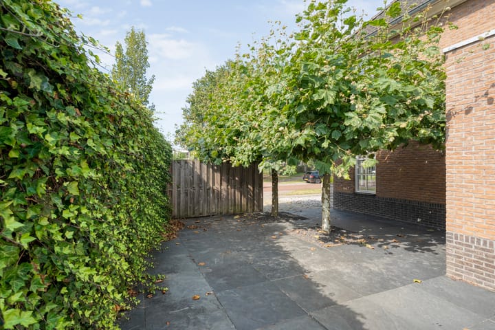 Foto 37 van Lisdodde 26