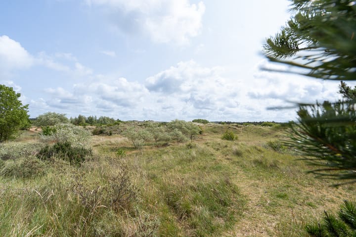 Foto 32 van Lorentzstraat 310