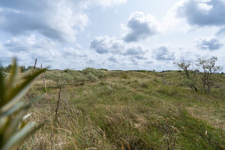 Foto 33 van Lorentzstraat 310