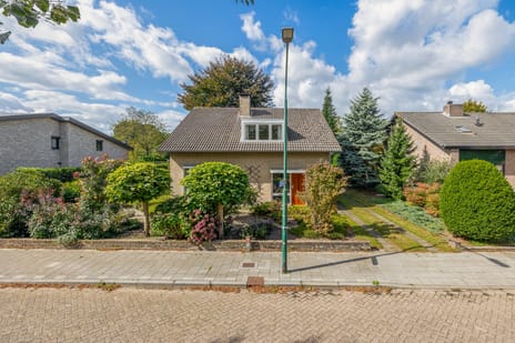 undefined main image