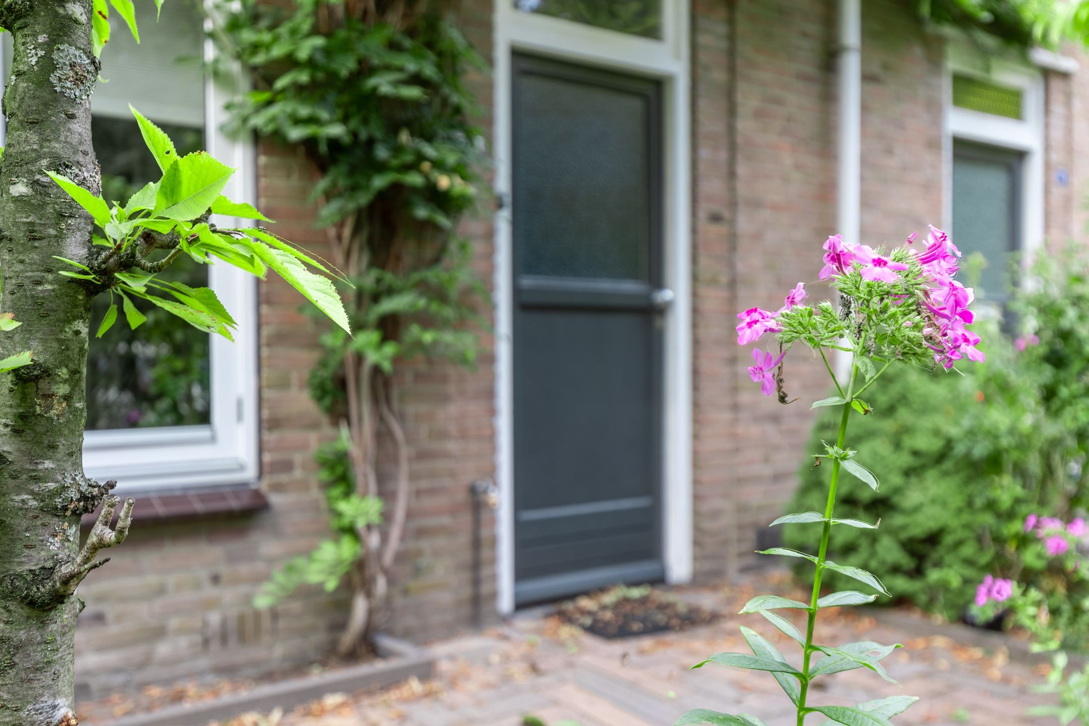 Foto 6 van Lekkerbeetjenlaan 70