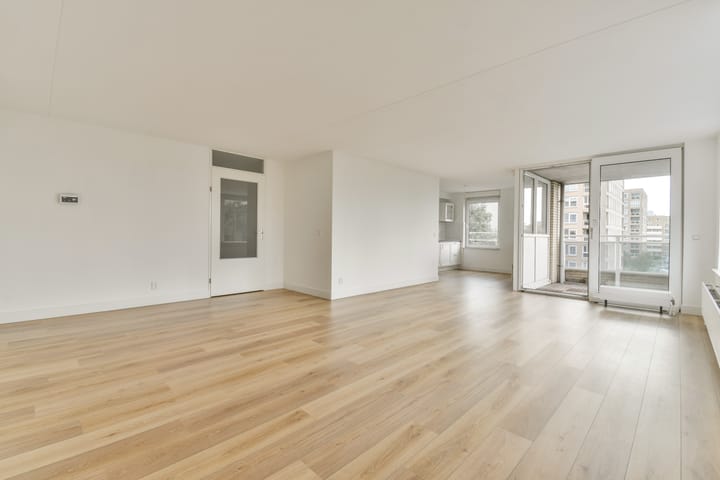 Foto 3 van Hermelijnvlinder 45