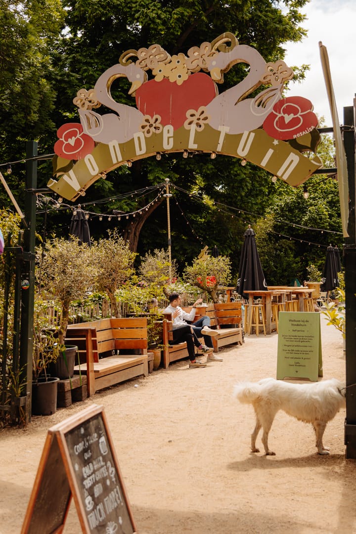 Photo 30 of Waldeck Pyrmontlaan 4-H