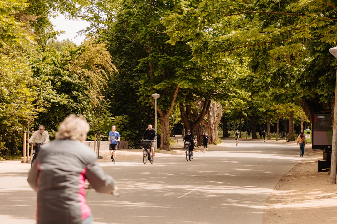 Foto 31 van Waldeck Pyrmontlaan 4-H