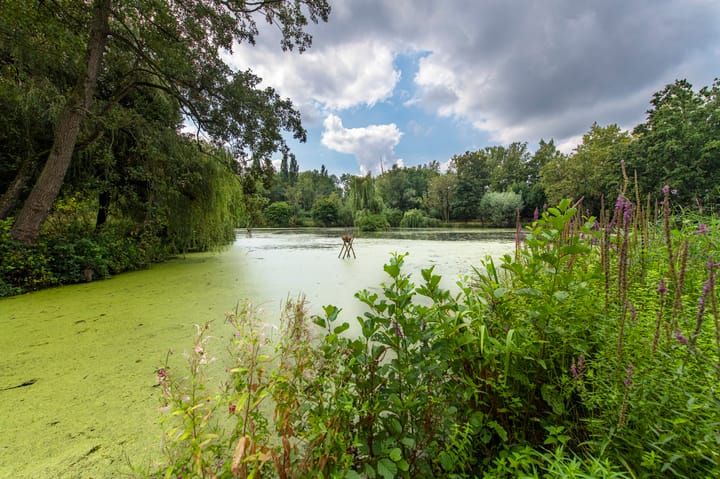 Foto 14 van Kooiweg 1