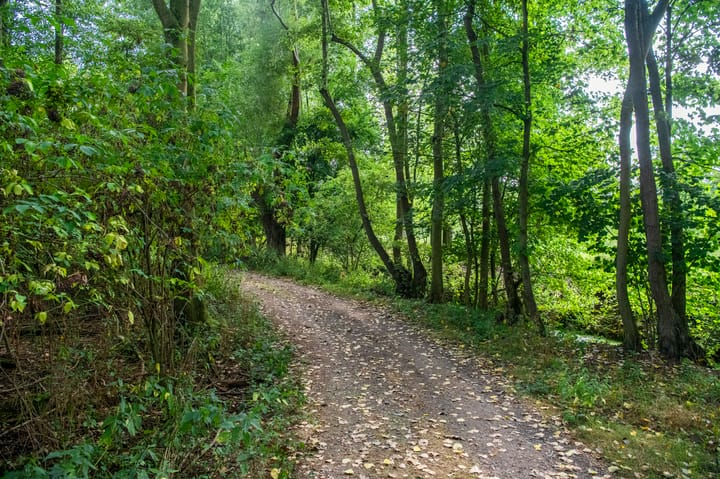 Foto 15 van Kooiweg 1