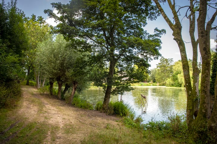 Foto 16 van Kooiweg 1