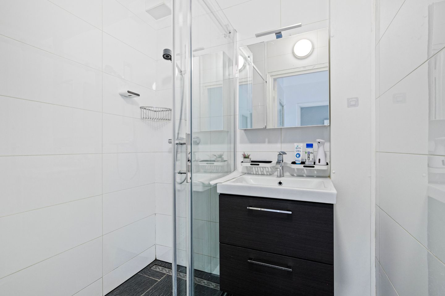 Foto 4 van Louis Raemaekersstraat 289