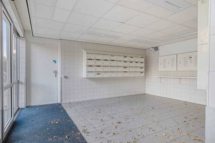 Foto 6 van Louis Raemaekersstraat 289