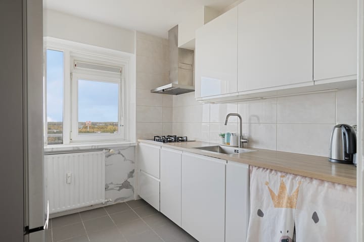 Foto 18 van Louis Raemaekersstraat 289