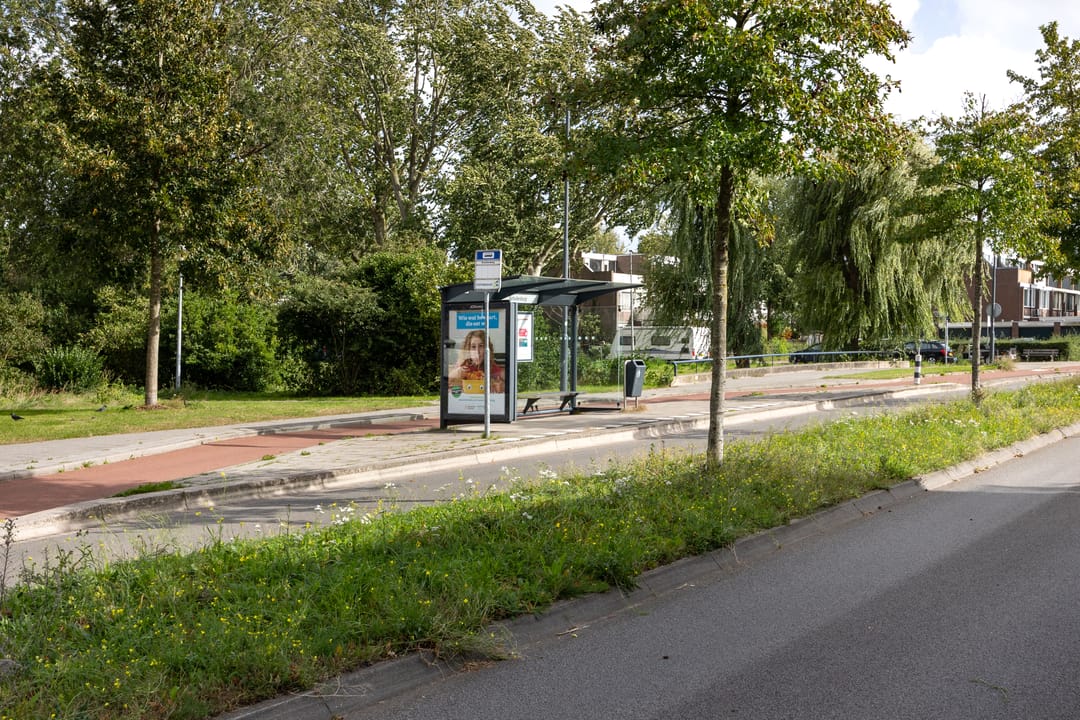 Foto 23 van Engelenburg 489