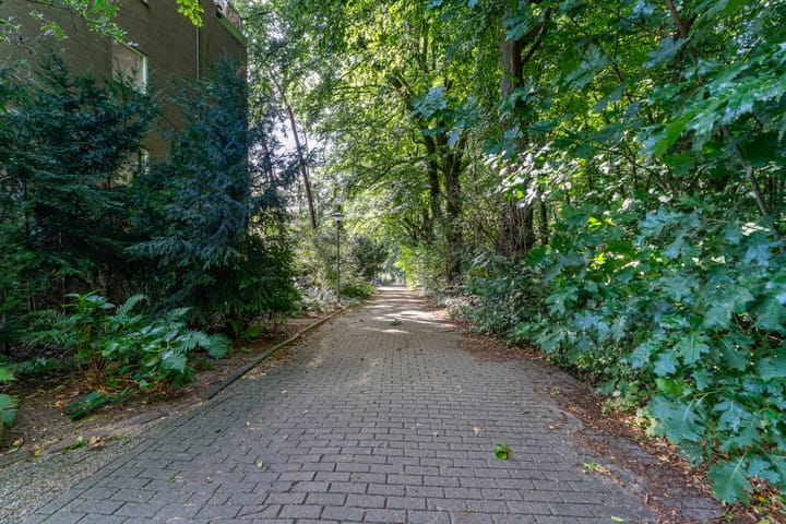 Foto 28 van Franckstraat 1-4