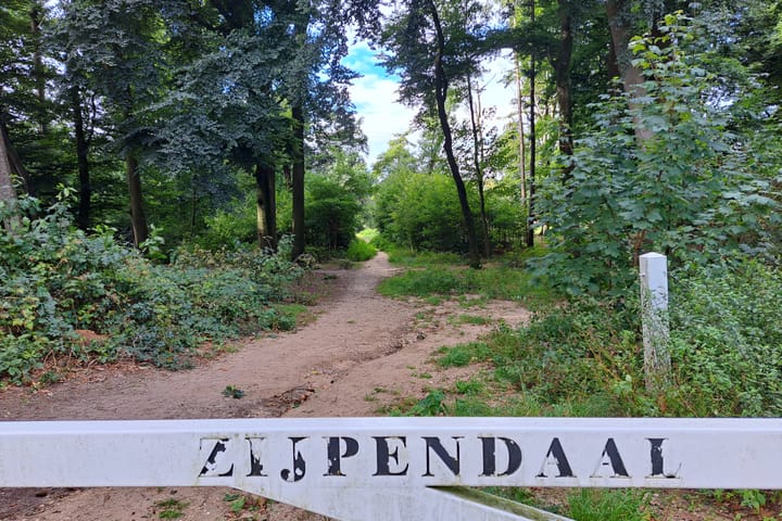 Foto 30 van Franckstraat 1-4