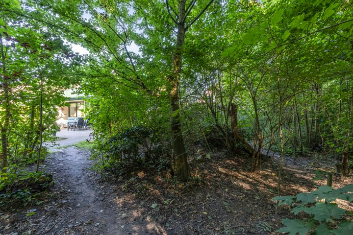 Foto 39 van de Singel 6