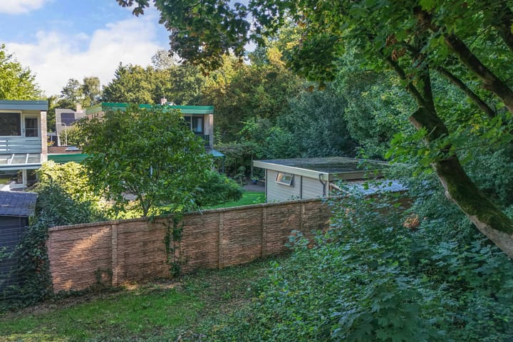 Foto 46 van de Singel 6