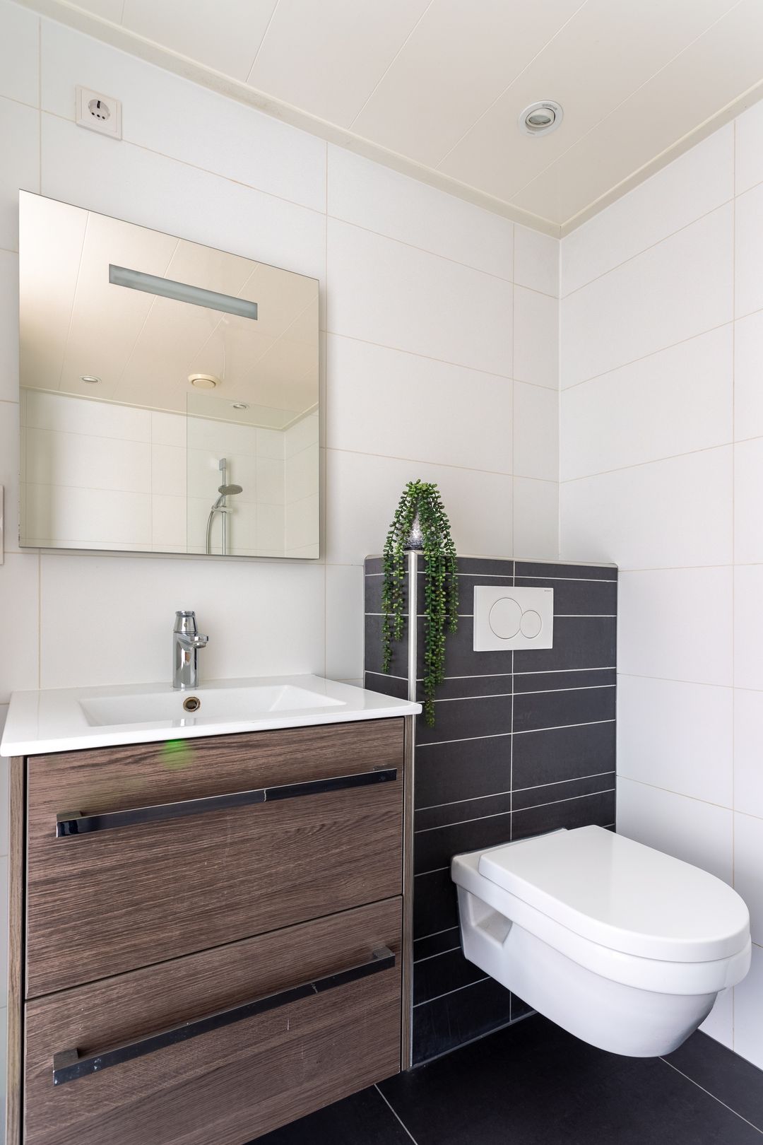 Foto 23 van Lankforst 5605