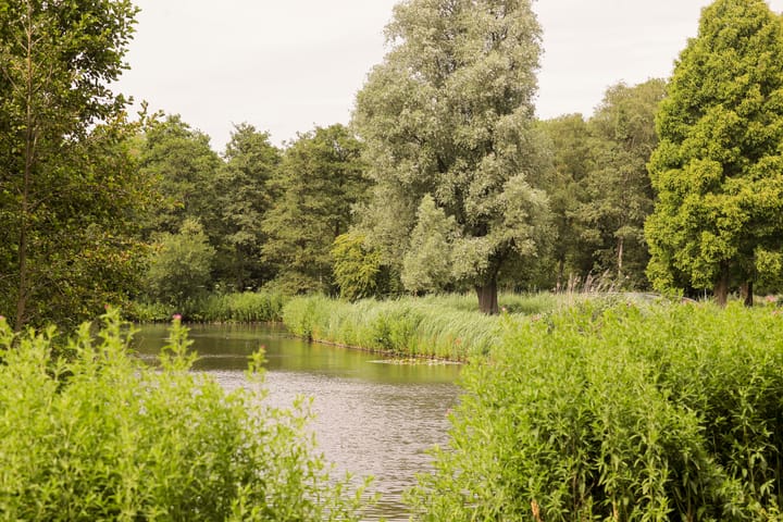 Foto 20 van Stuyvesantstraat 33-2