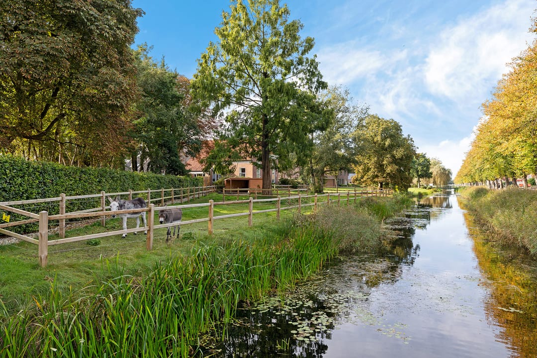 Foto 52 van Zuiderdiep 498