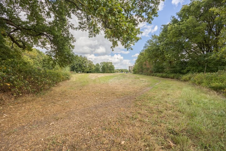 Photo 43 of Lanspunt 16