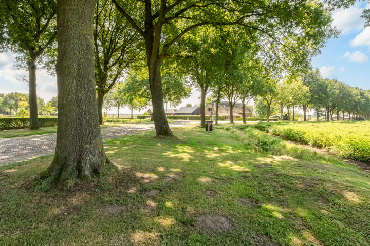 Foto 42 van Heirweg 26