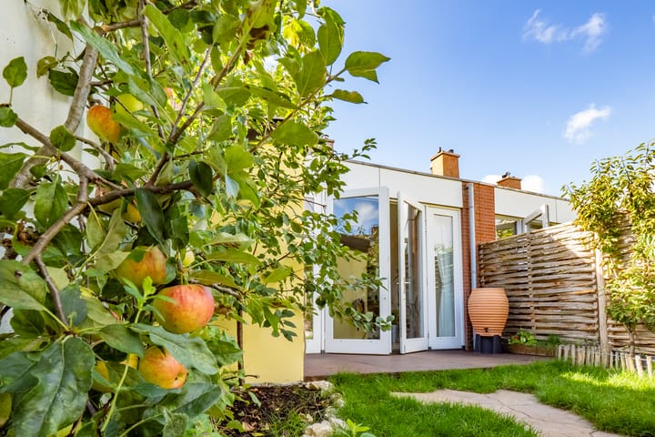 Foto 27 van Hoveniersstraat 3