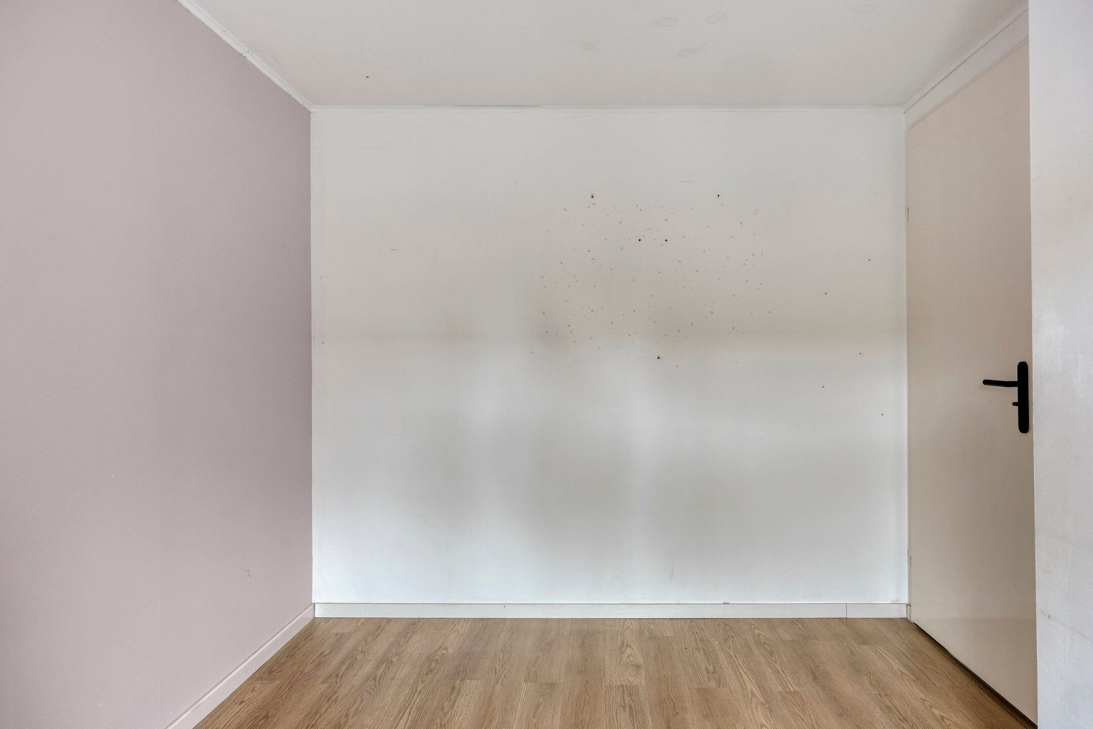 Photo 21 of Het Oerd 53