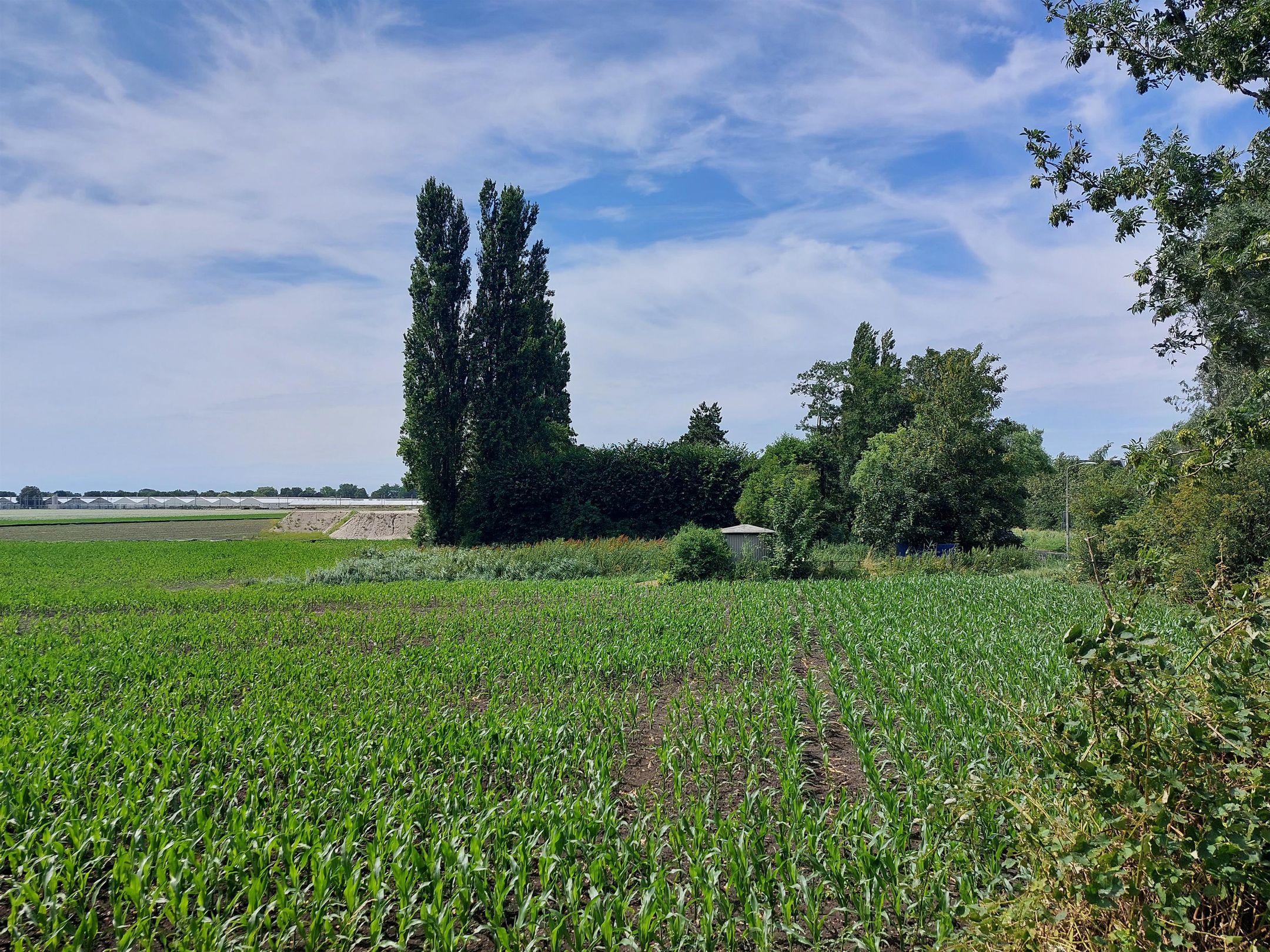 Foto 12 van J.C. van Hattumweg 1-B