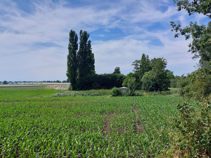 Foto 12 van J.C. van Hattumweg 1-B