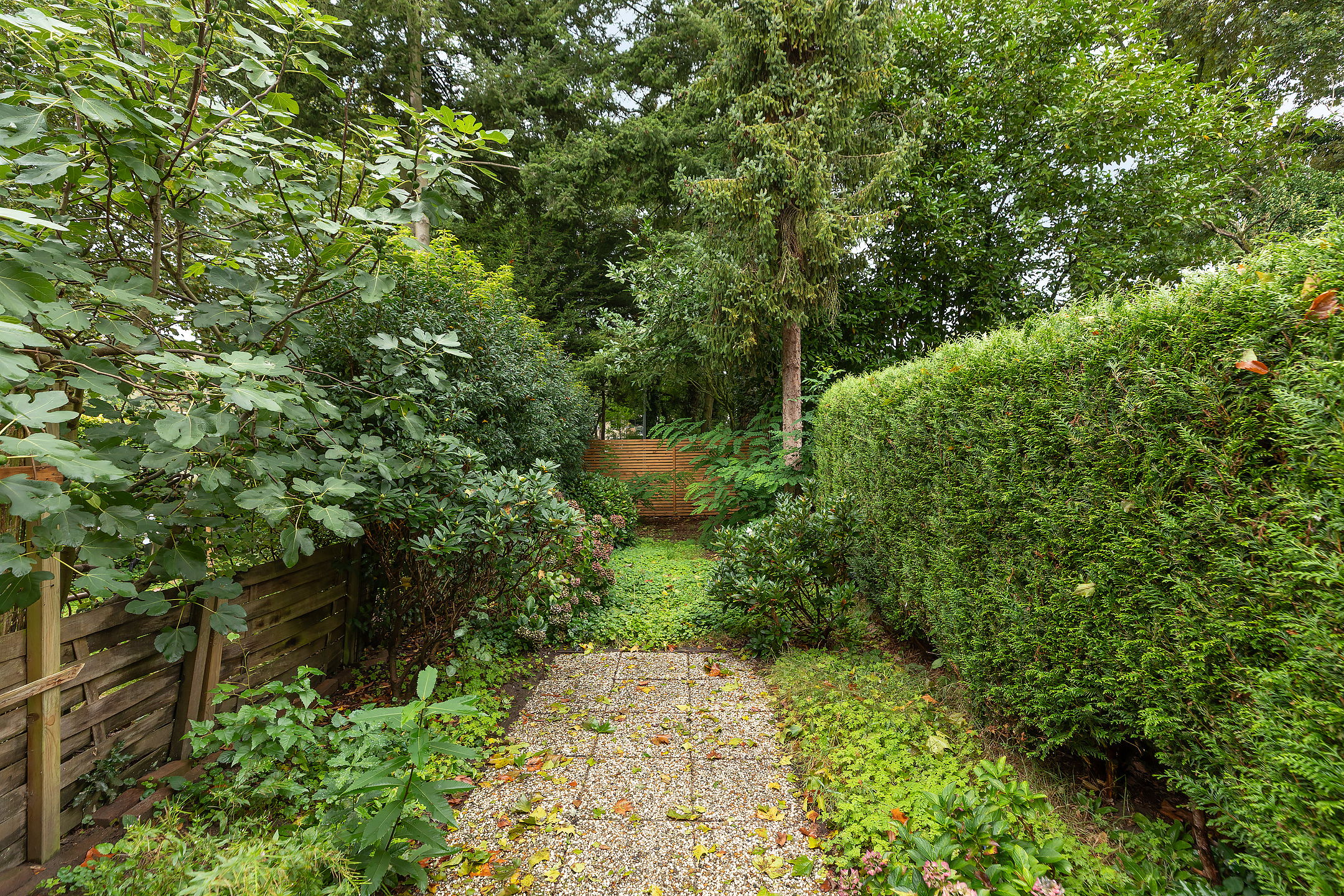 Foto 30 van Kloosterlaan 232