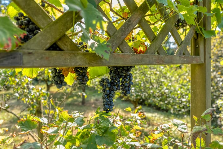 Foto 54 van Dedemsvaartseweg-Noord 124-A