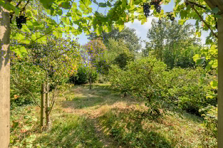 Foto 55 van Dedemsvaartseweg-Noord 124-A