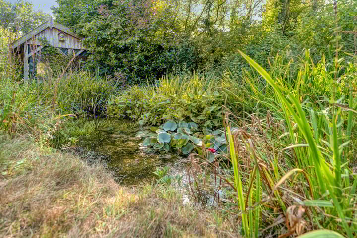 Foto 57 van Dedemsvaartseweg-Noord 124-A