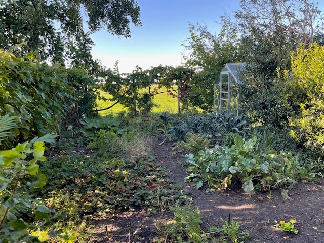 Foto 62 van Dedemsvaartseweg-Noord 124-A