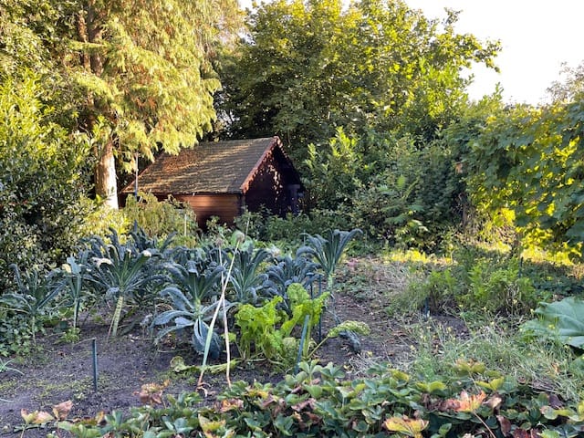 Foto 63 van Dedemsvaartseweg-Noord 124-A