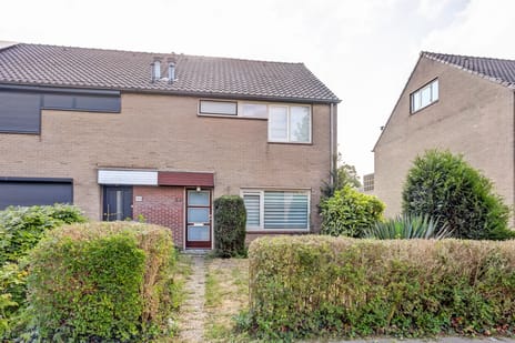 undefined main image