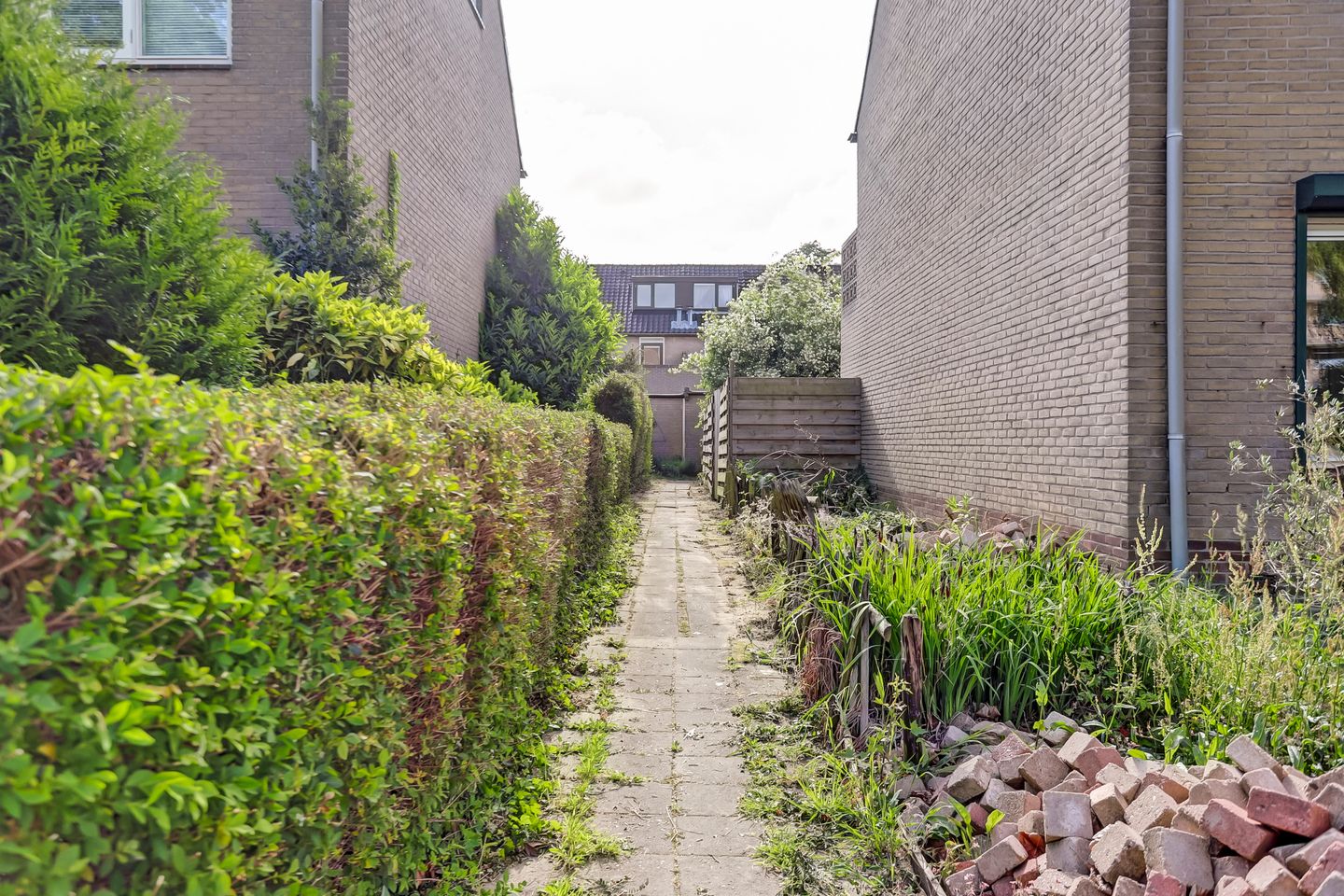 Foto 4 van Lankforst 1127