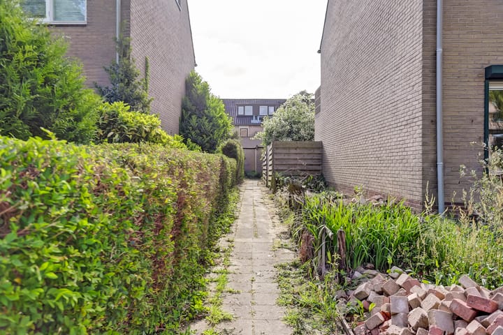 Foto 4 van Lankforst 1127