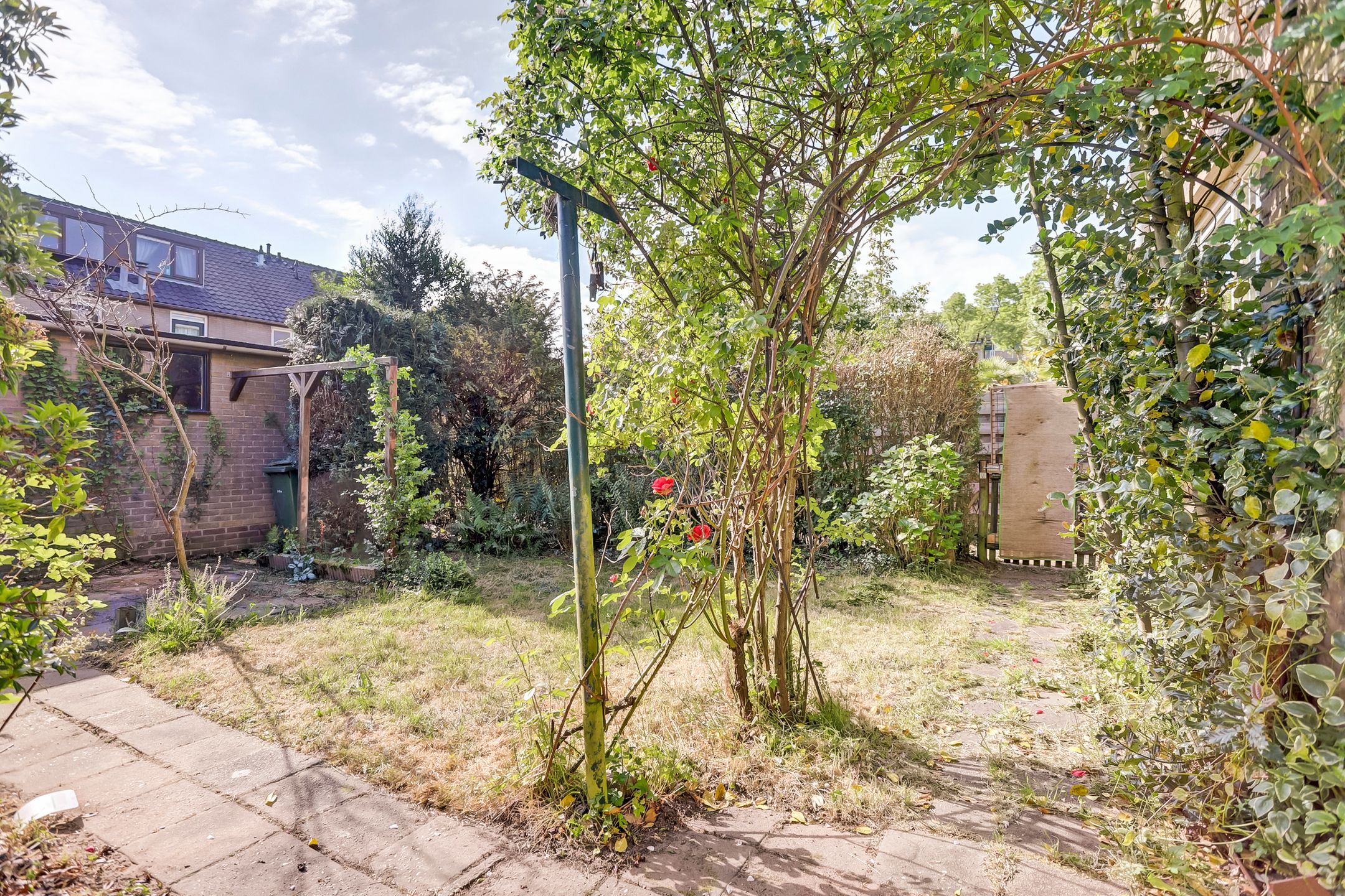 Foto 42 van Lankforst 1127