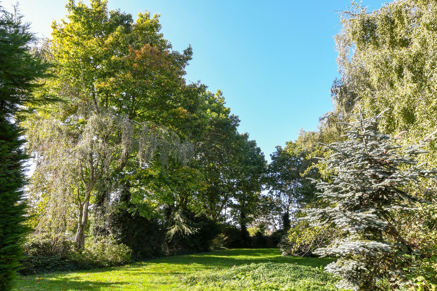 Foto 29 van Grathemerweg 4