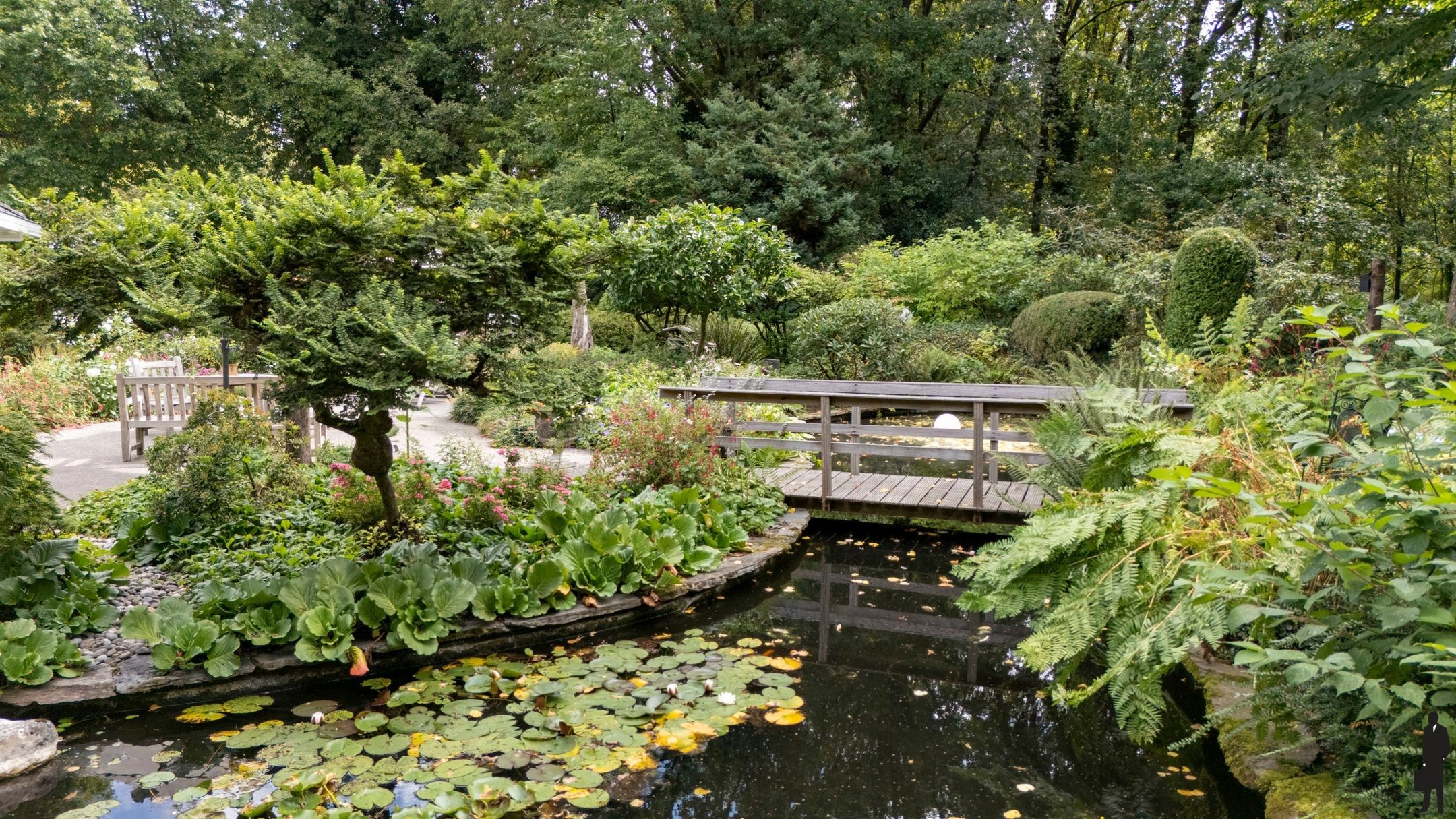 Foto 30 van Lijsterdreef 15