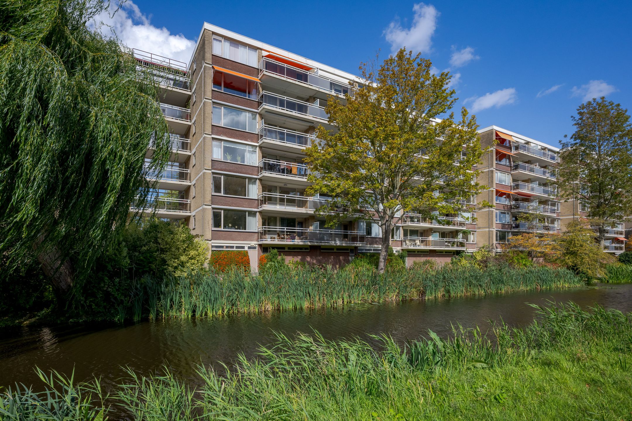 Apollolaan, 208, Leiden, 2324BW, Zuid-Holland, Nederland 208