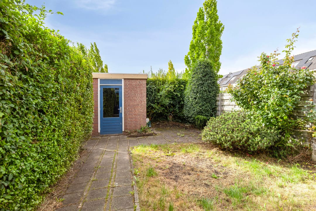 Foto 2 van Toccata 130