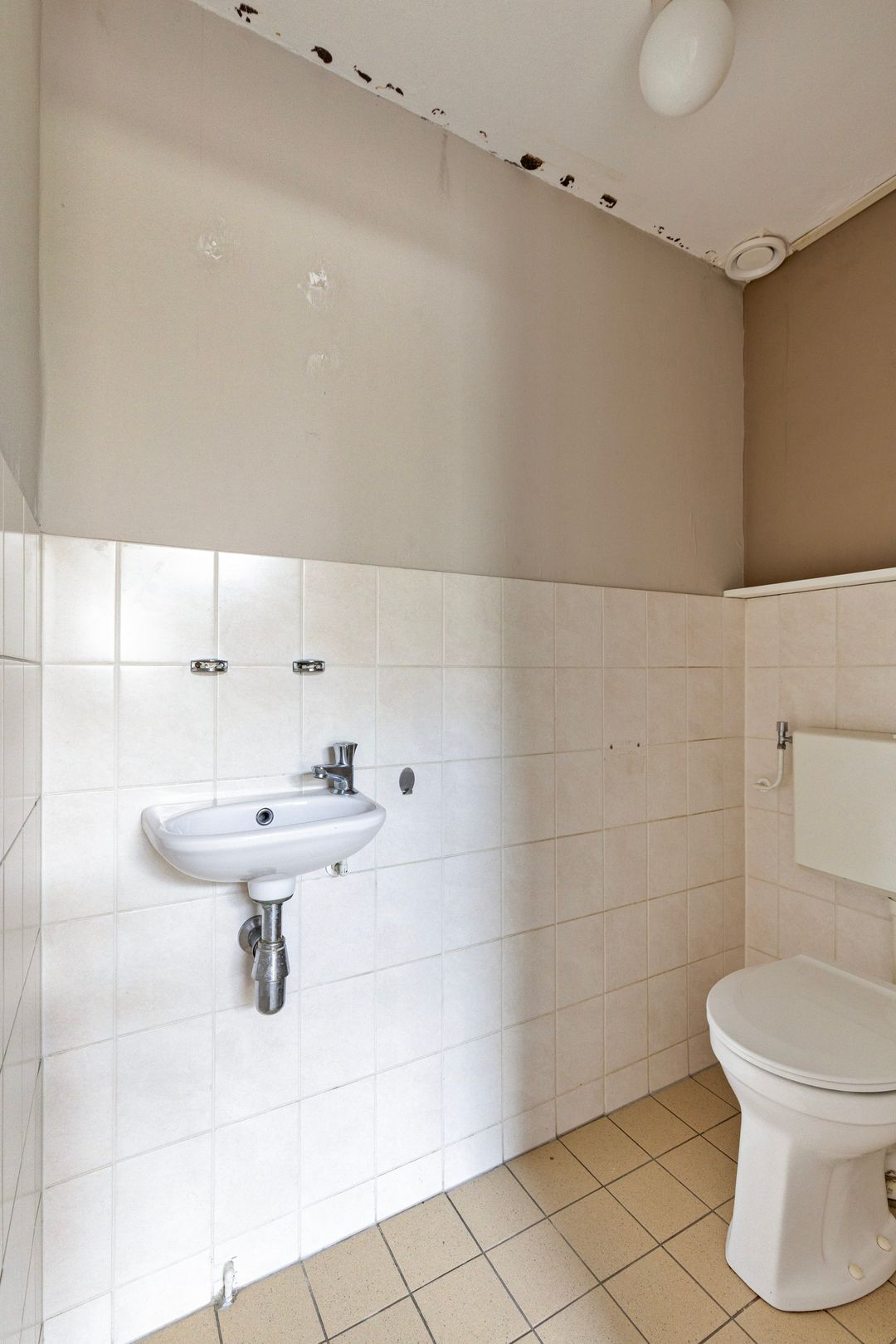 Foto 11 van Toccata 130