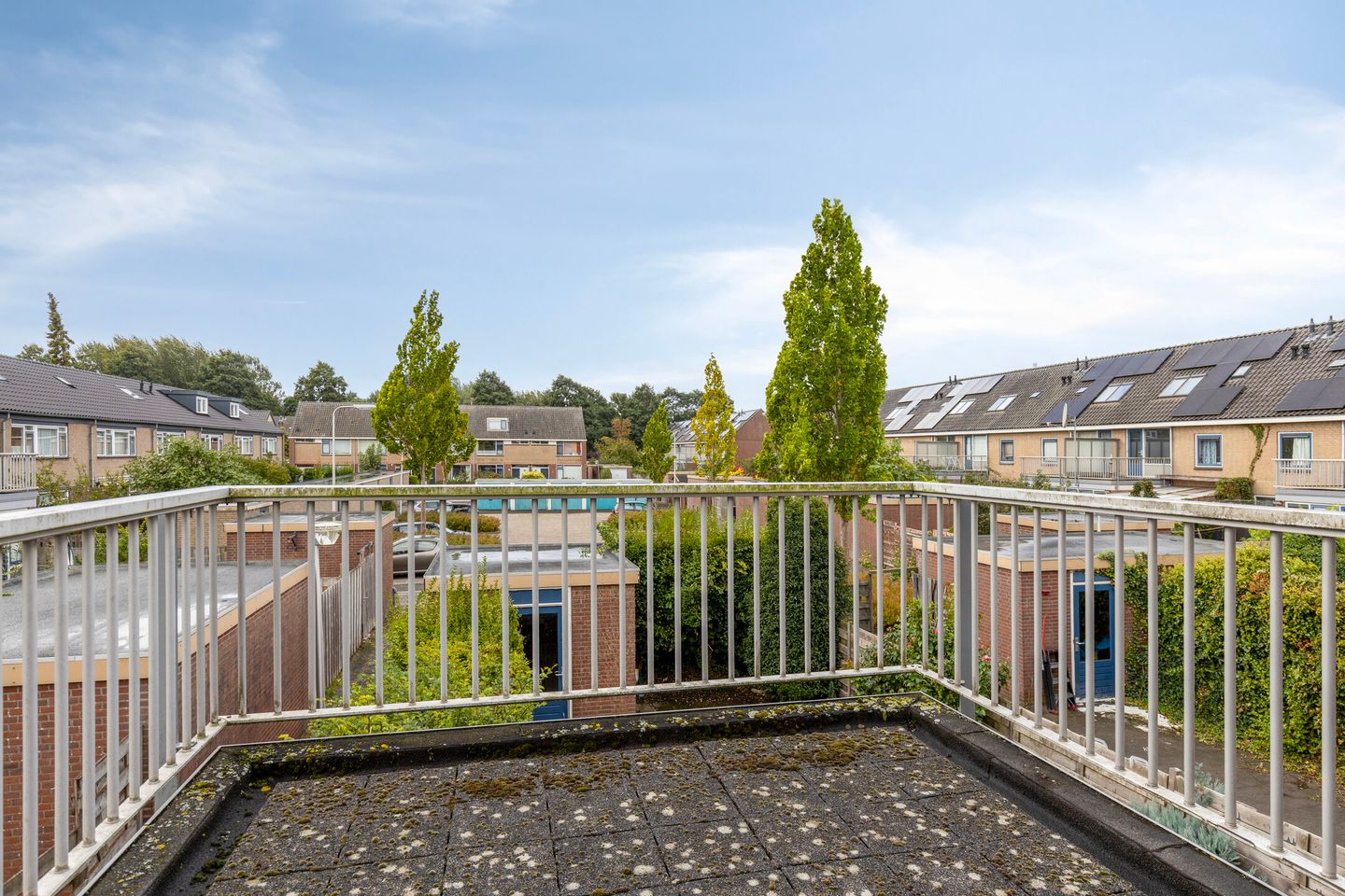 Foto 14 van Toccata 130