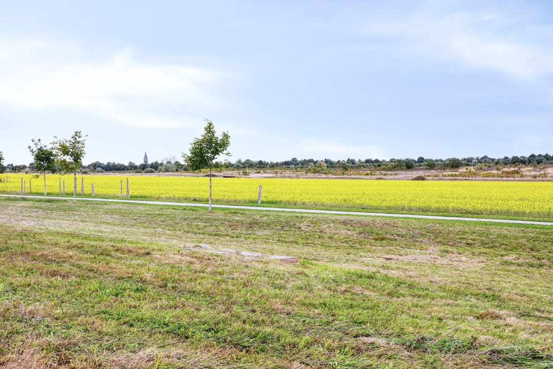 Foto 37 van Stormramruwe 10