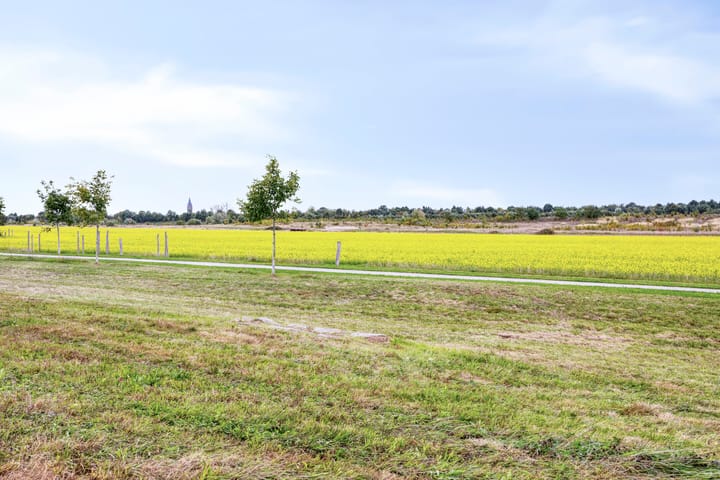 Foto 37 van Stormramruwe 10