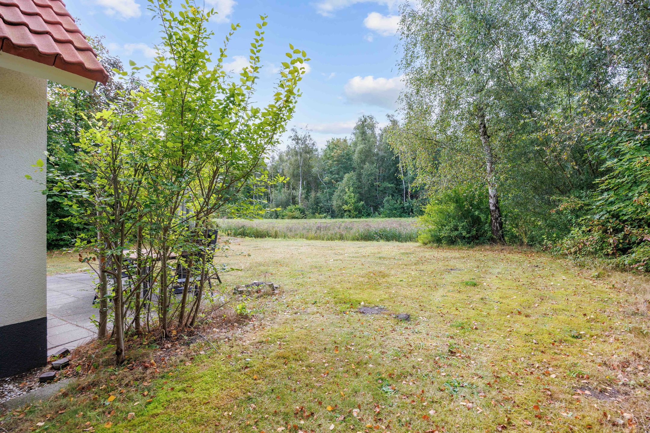 3-bedroom freehold villa in Lauwersoog — photo 2 of 5