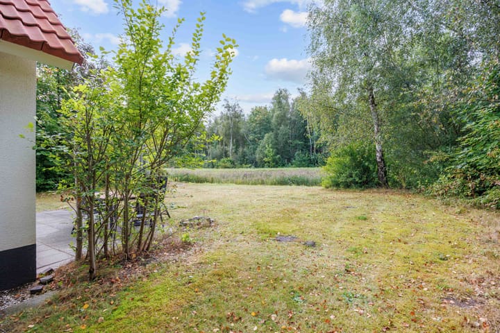 Photo 2 of De Rug 3-158