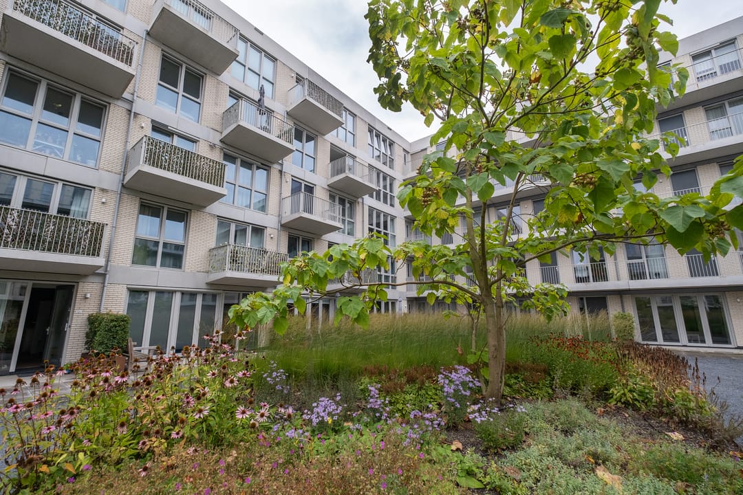 Foto 28 van Lapis Lazuli 151